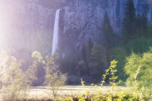 daytime landscapes