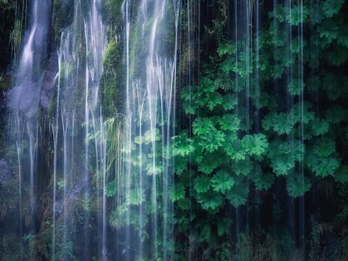 Mossbrae Falls, OR