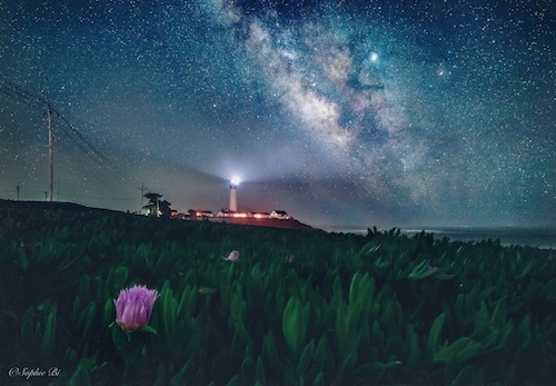 Pigeon lighthouse, CA