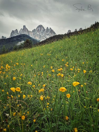 Dolomites, Italy
