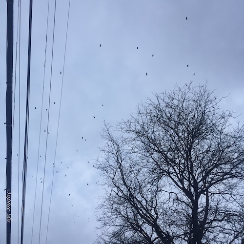 Pittsburgh, PA