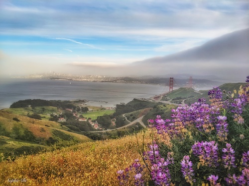 San Francisco, CA