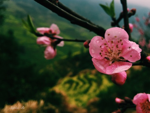 Wuyuan, China